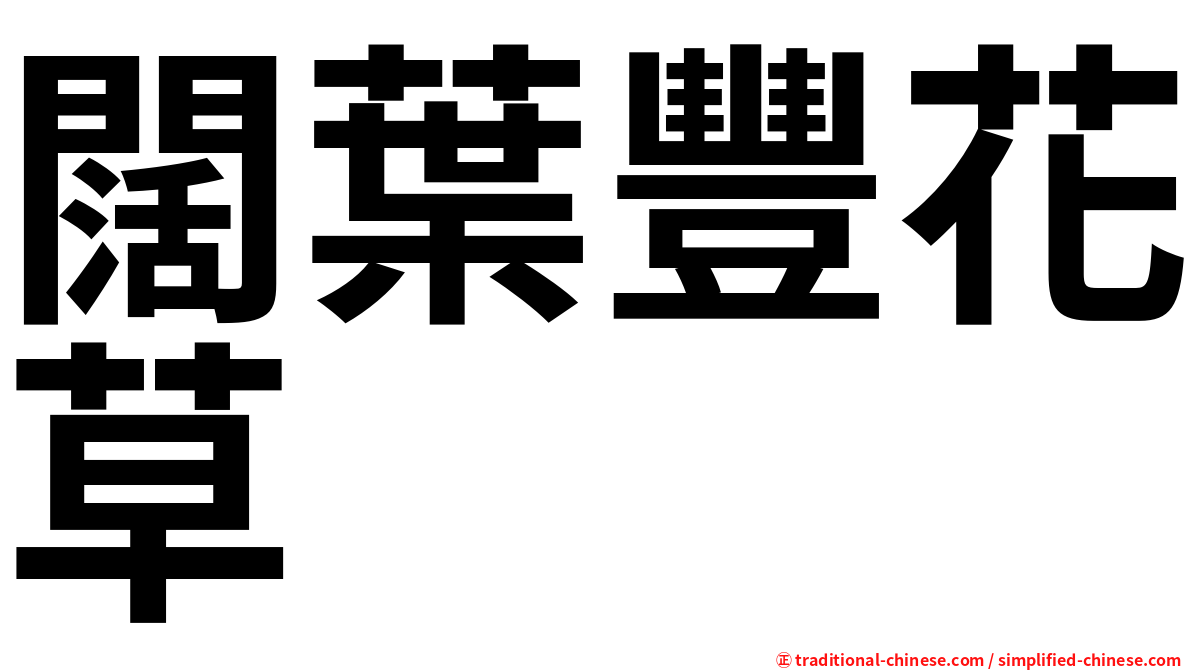 闊葉豐花草