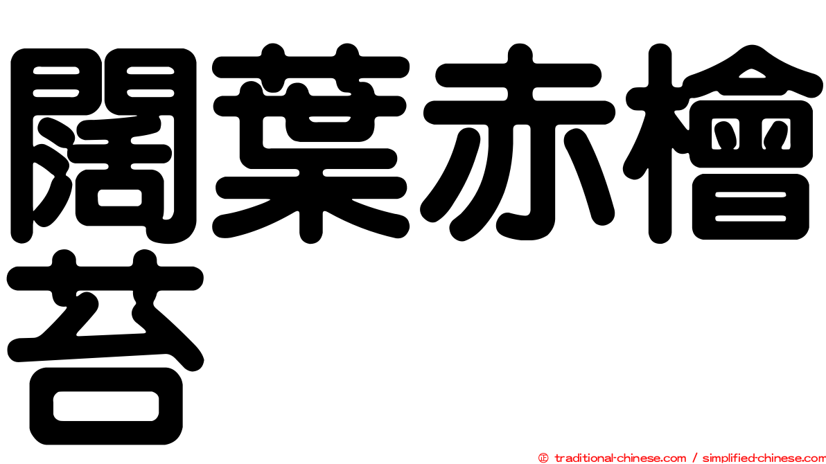 闊葉赤檜苔