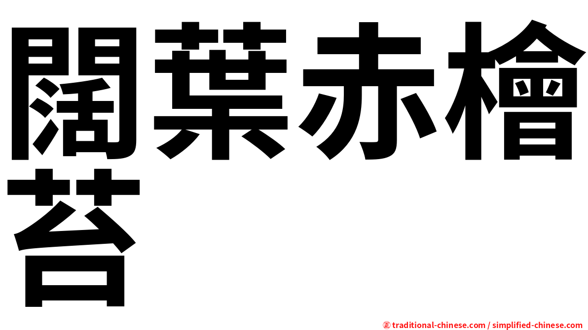 闊葉赤檜苔