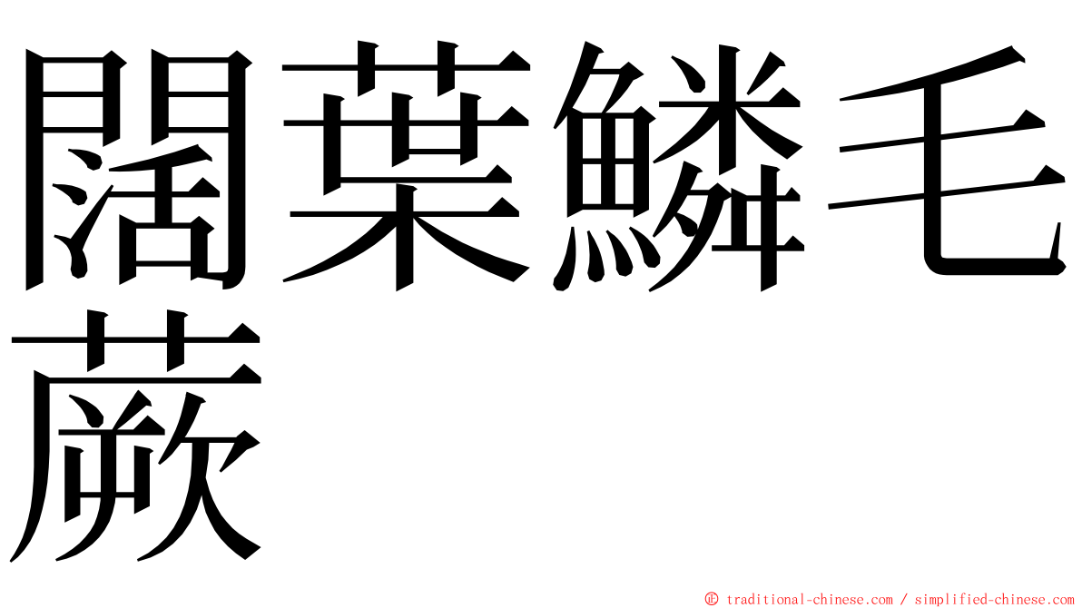 闊葉鱗毛蕨 ming font