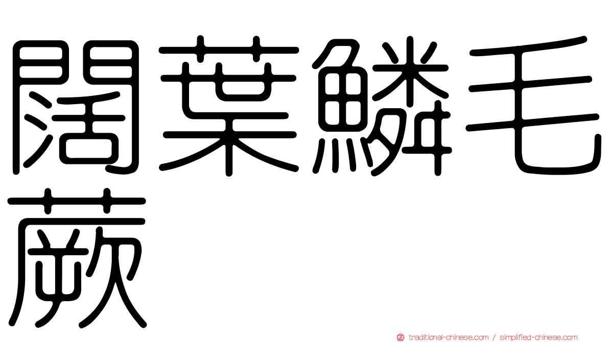 闊葉鱗毛蕨