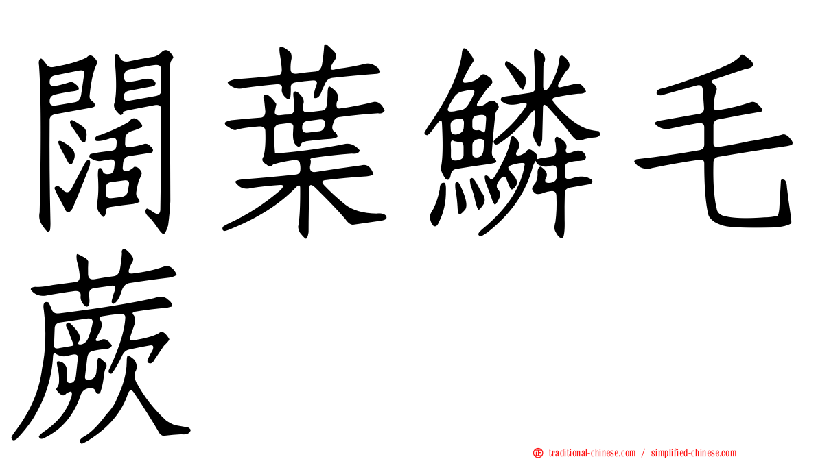 闊葉鱗毛蕨