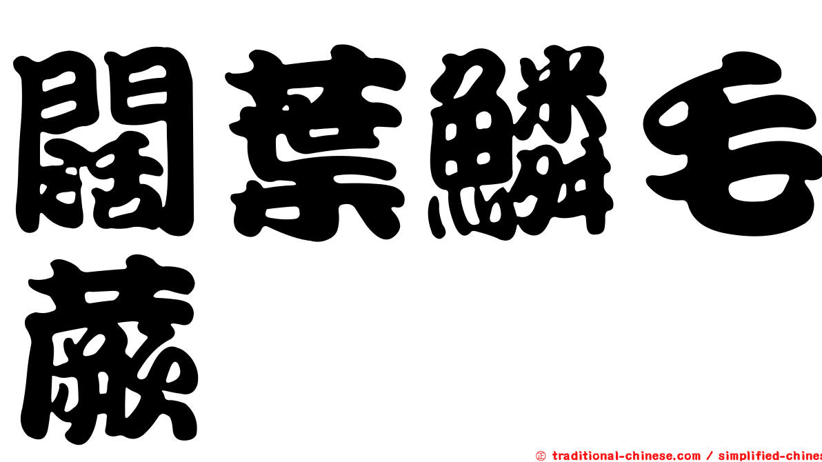 闊葉鱗毛蕨