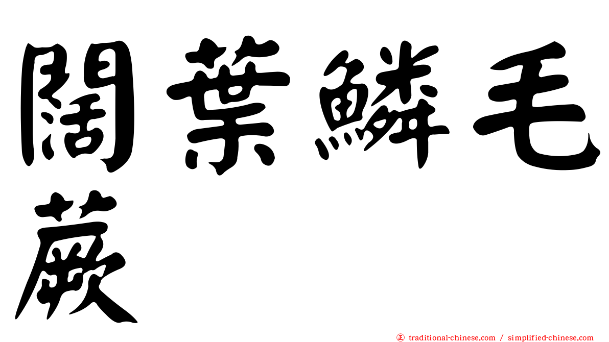 闊葉鱗毛蕨