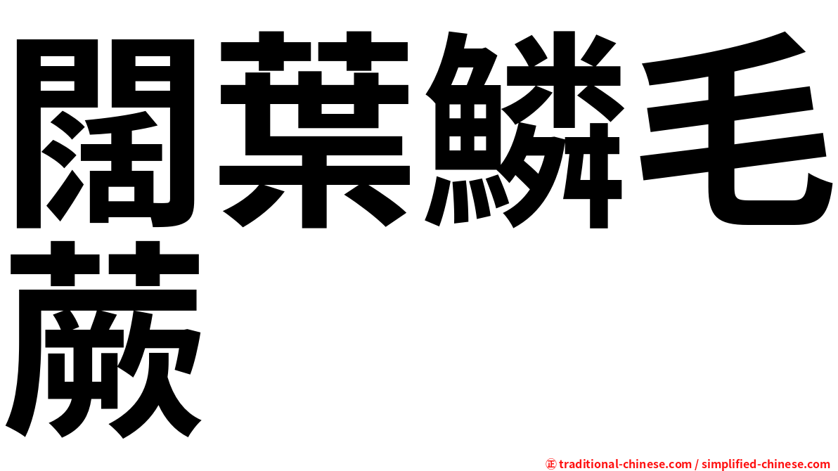 闊葉鱗毛蕨