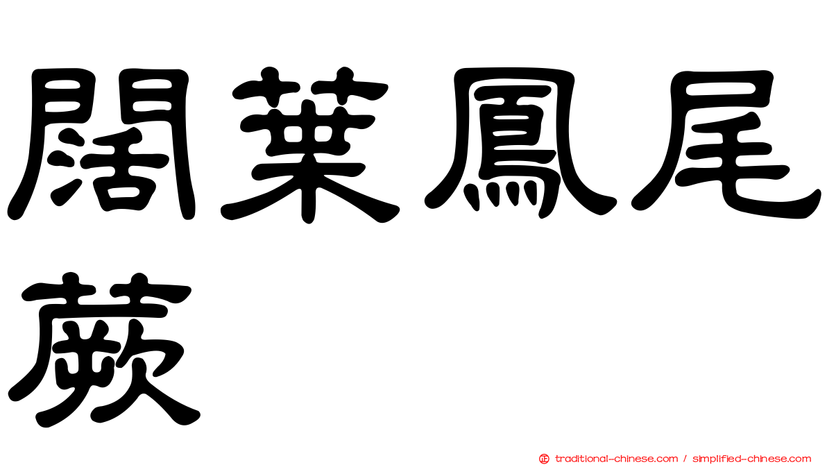 闊葉鳳尾蕨