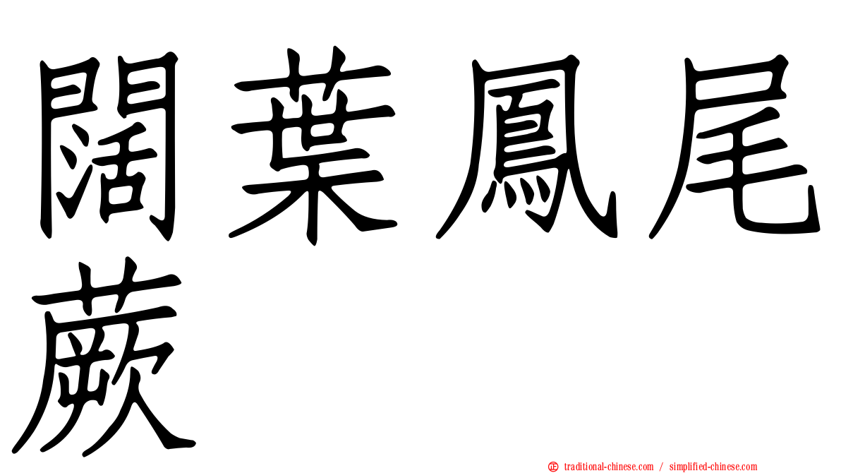闊葉鳳尾蕨