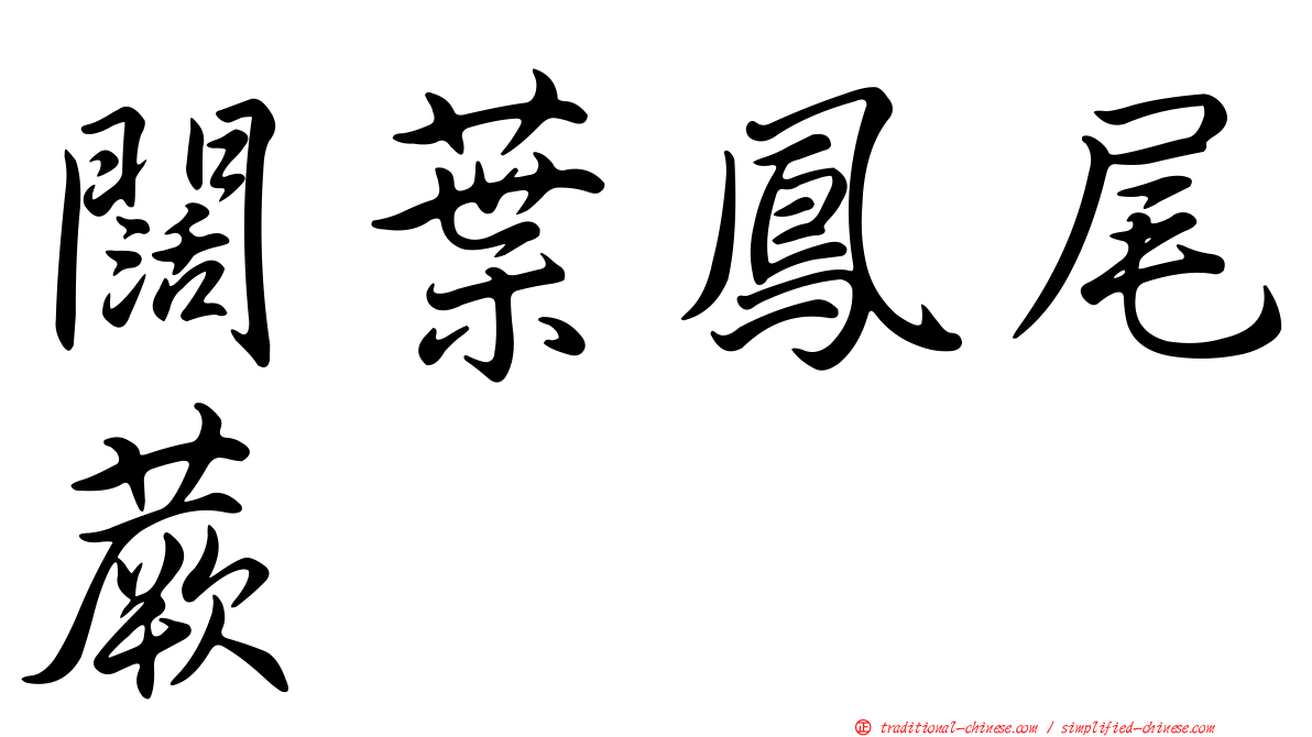 闊葉鳳尾蕨