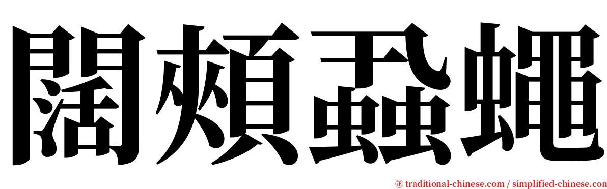 闊頰蝨蠅 serif font