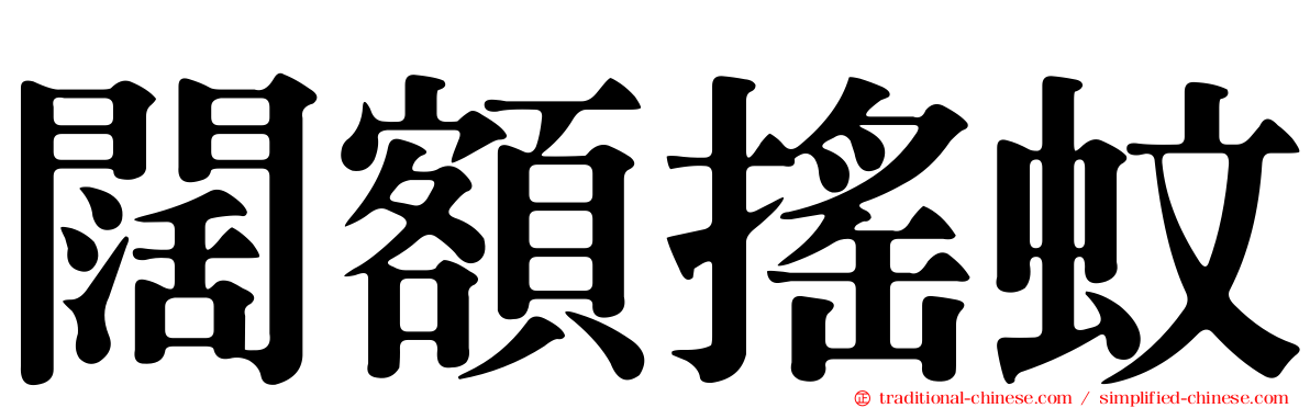 闊額搖蚊