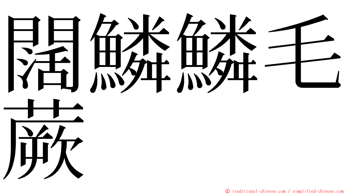 闊鱗鱗毛蕨 ming font