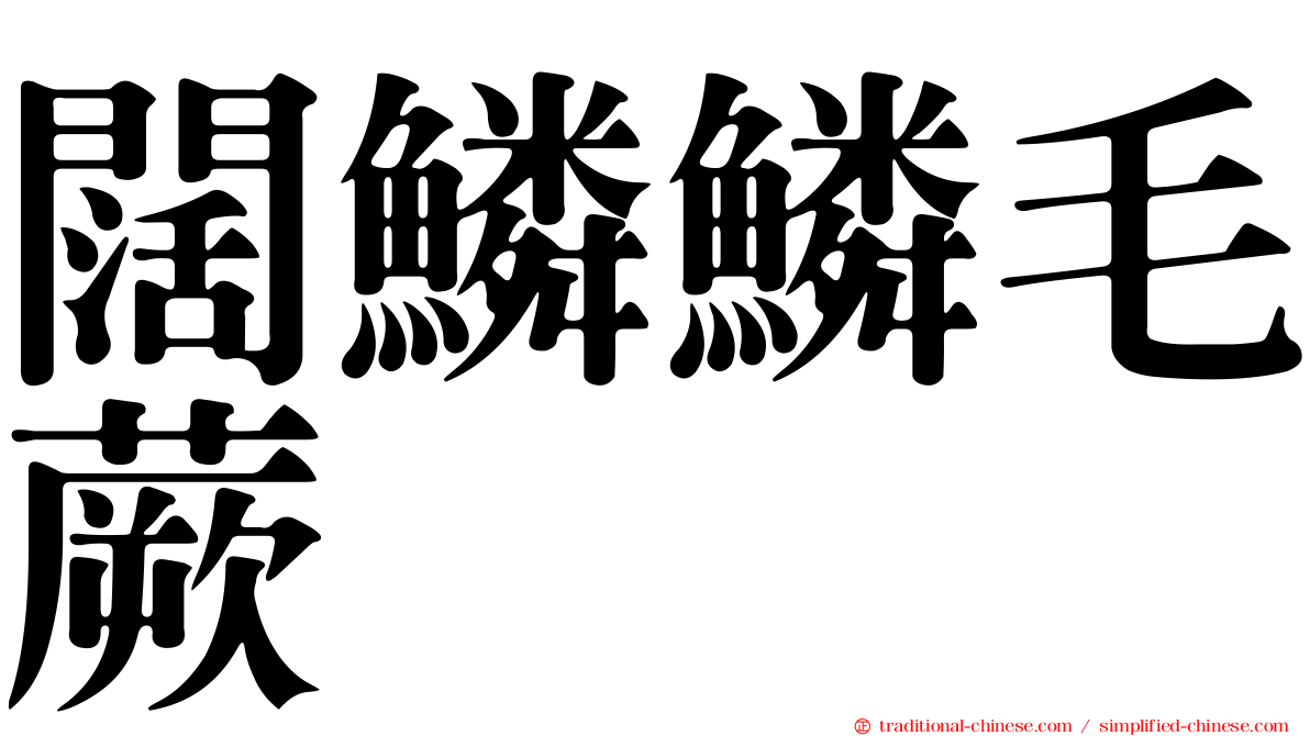 闊鱗鱗毛蕨