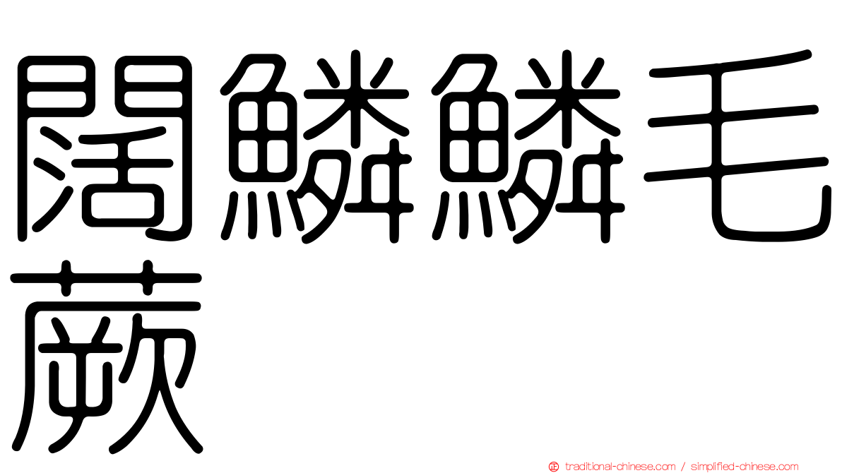闊鱗鱗毛蕨