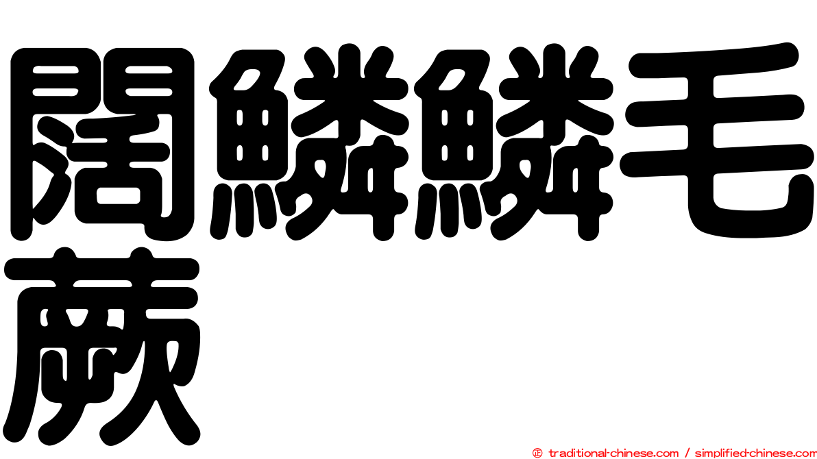 闊鱗鱗毛蕨