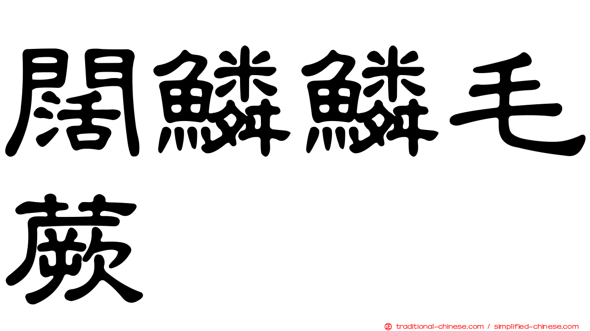 闊鱗鱗毛蕨