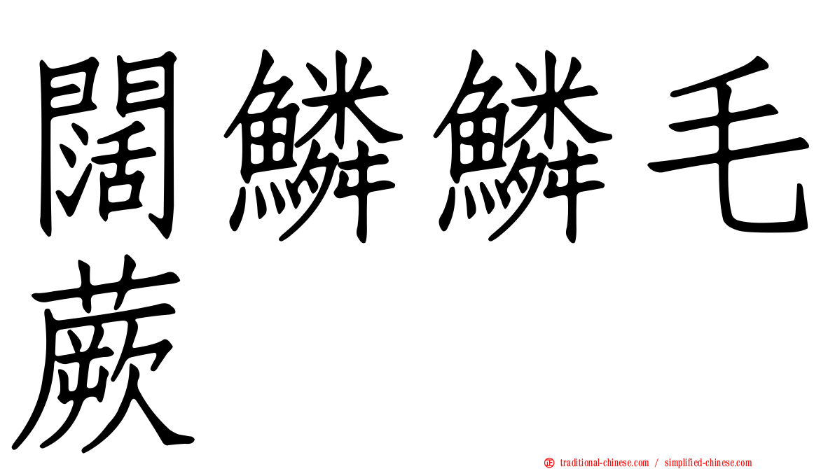 闊鱗鱗毛蕨