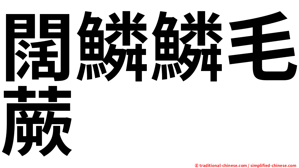 闊鱗鱗毛蕨