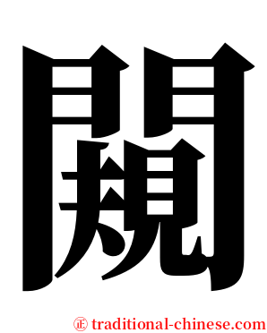 闚 serif font