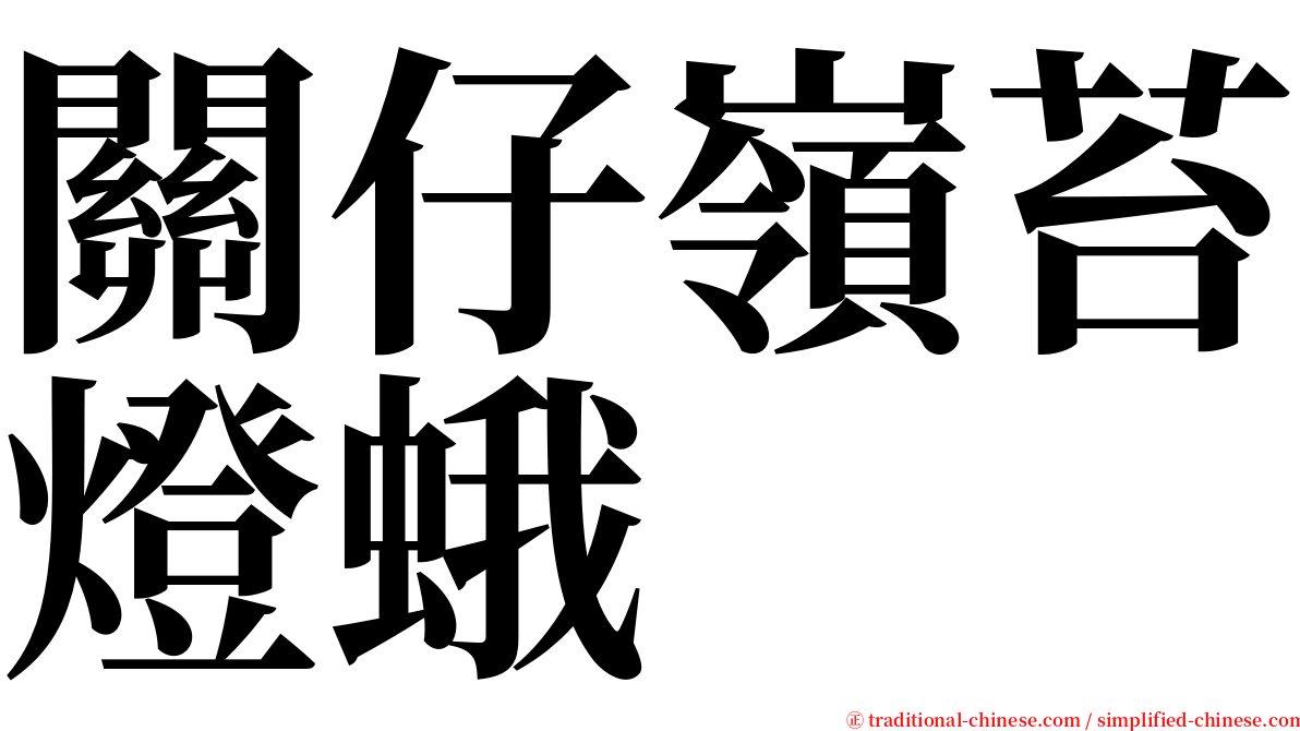 關仔嶺苔燈蛾 serif font