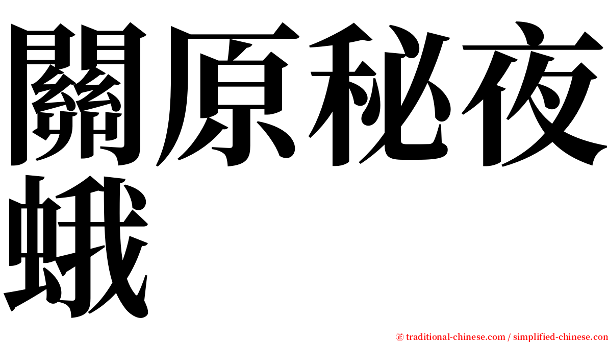 關原秘夜蛾 serif font