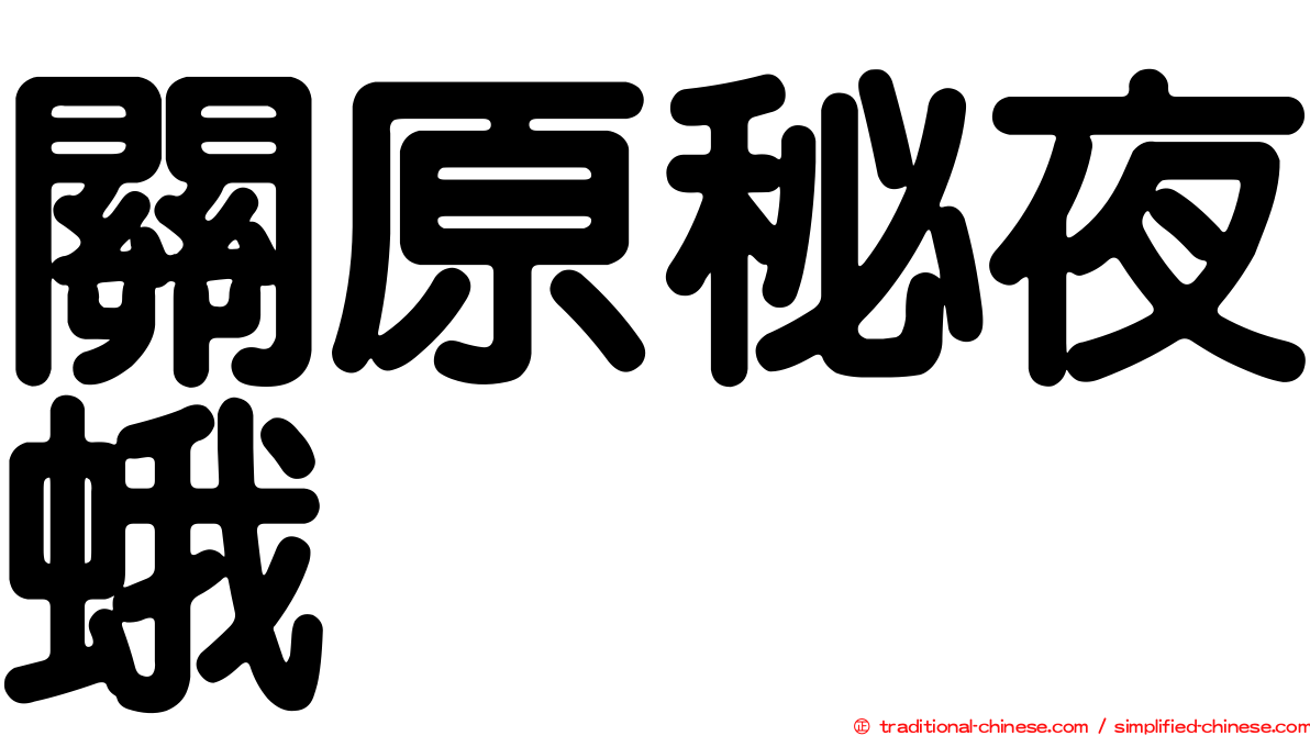 關原秘夜蛾