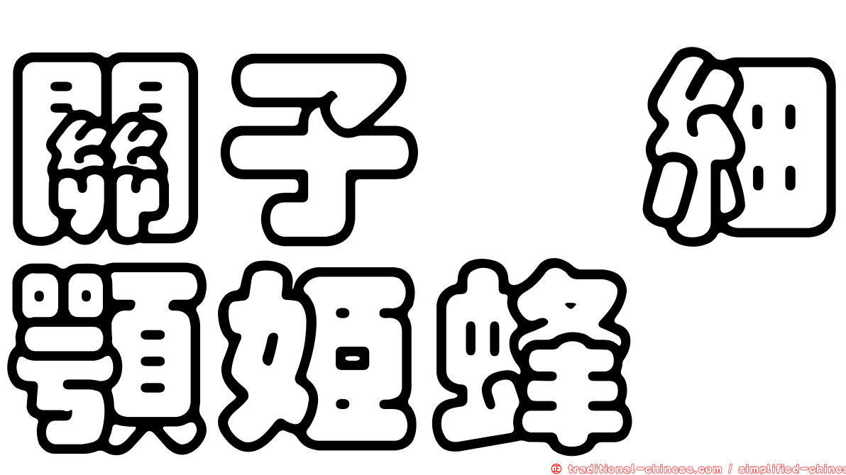 關子岭細顎姬蜂