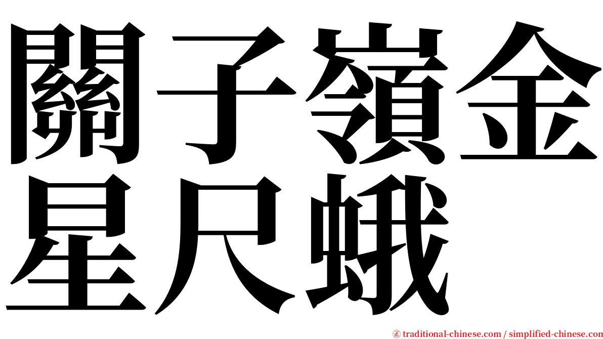 關子嶺金星尺蛾 serif font
