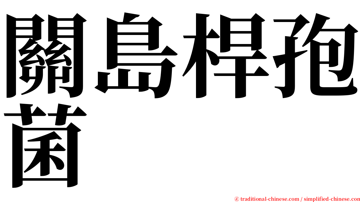 關島桿孢菌 serif font