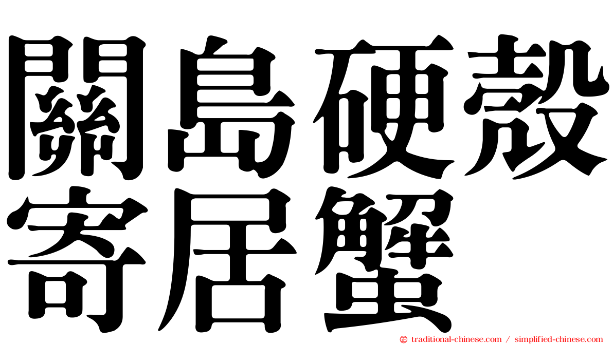 關島硬殼寄居蟹
