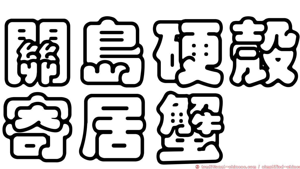關島硬殼寄居蟹