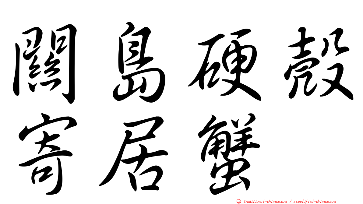 關島硬殼寄居蟹