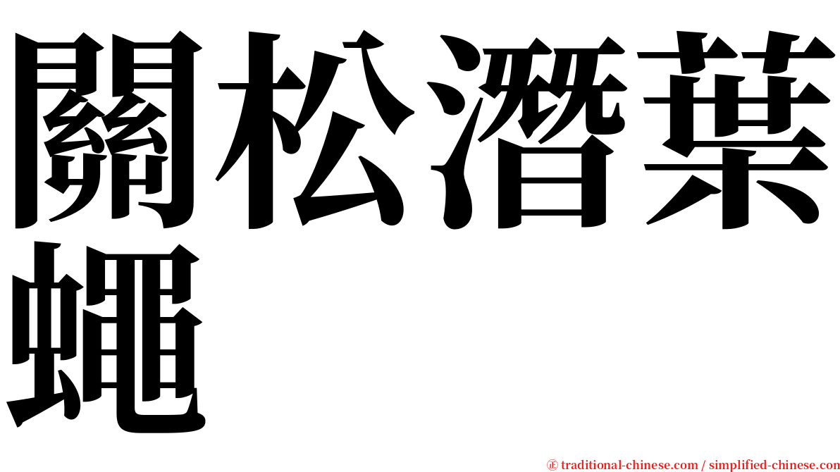 關松潛葉蠅 serif font