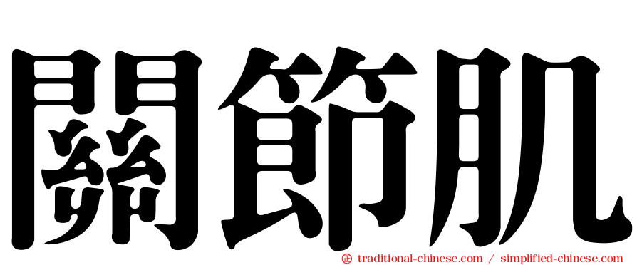 關節肌