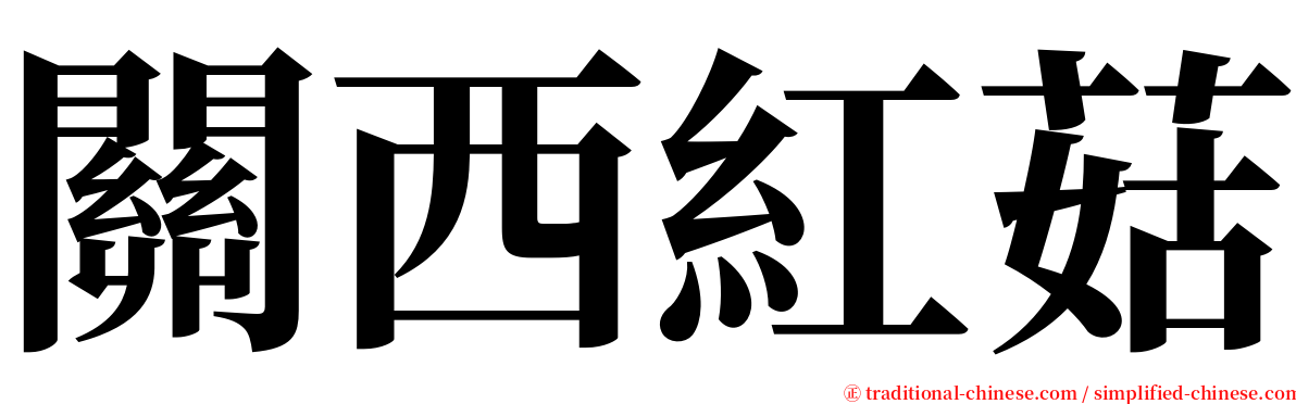 關西紅菇 serif font