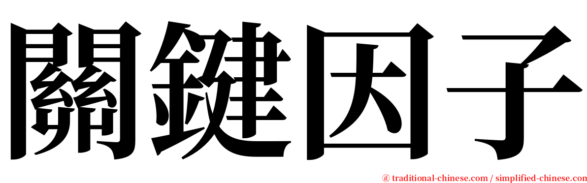 關鍵因子 serif font