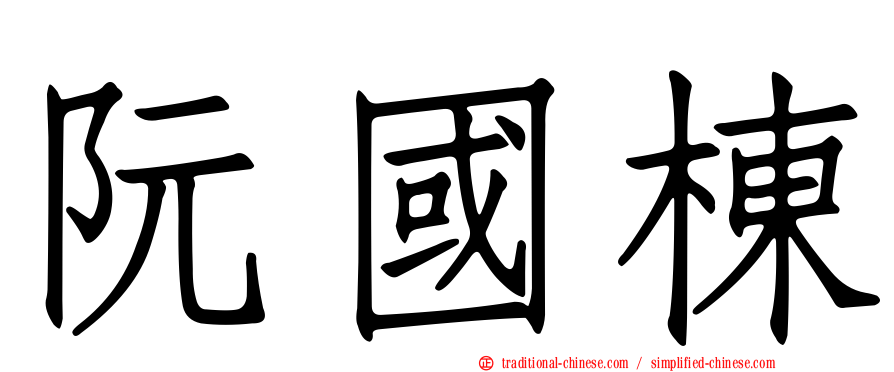 阮國棟