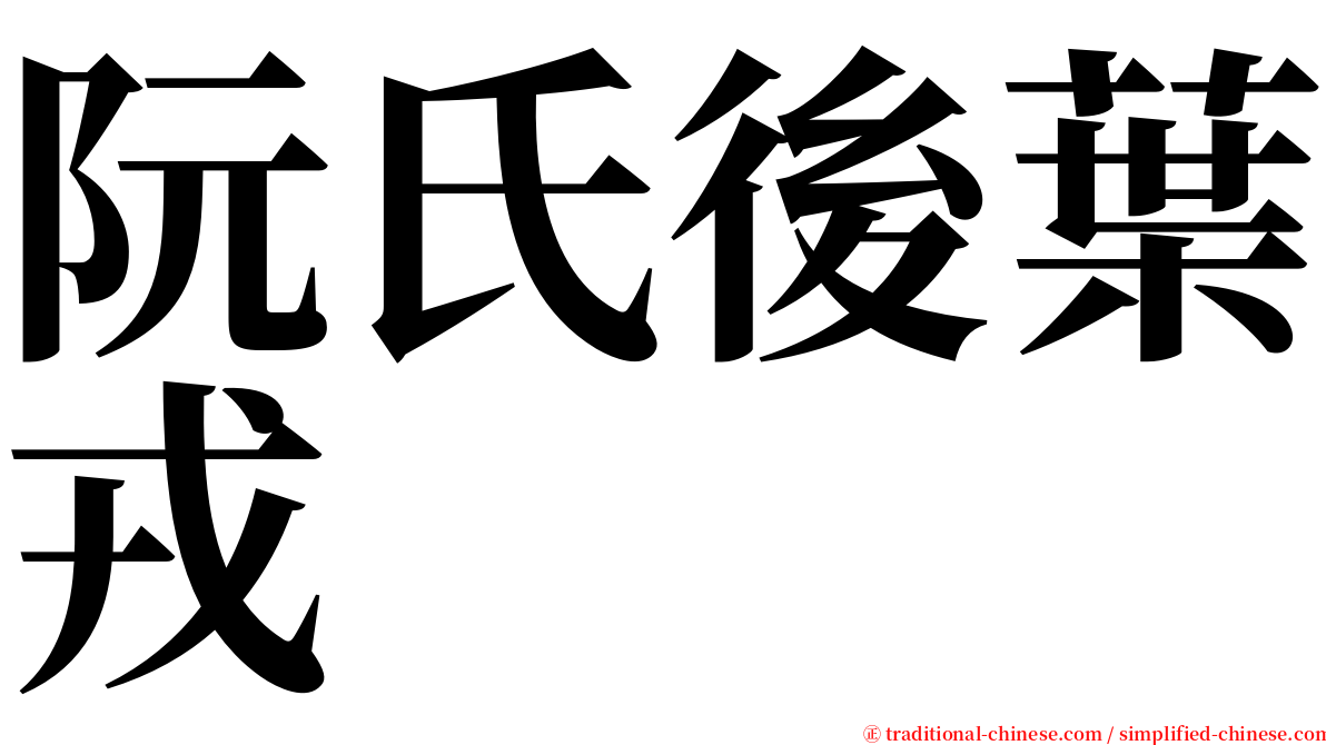 阮氏後葉戎 serif font