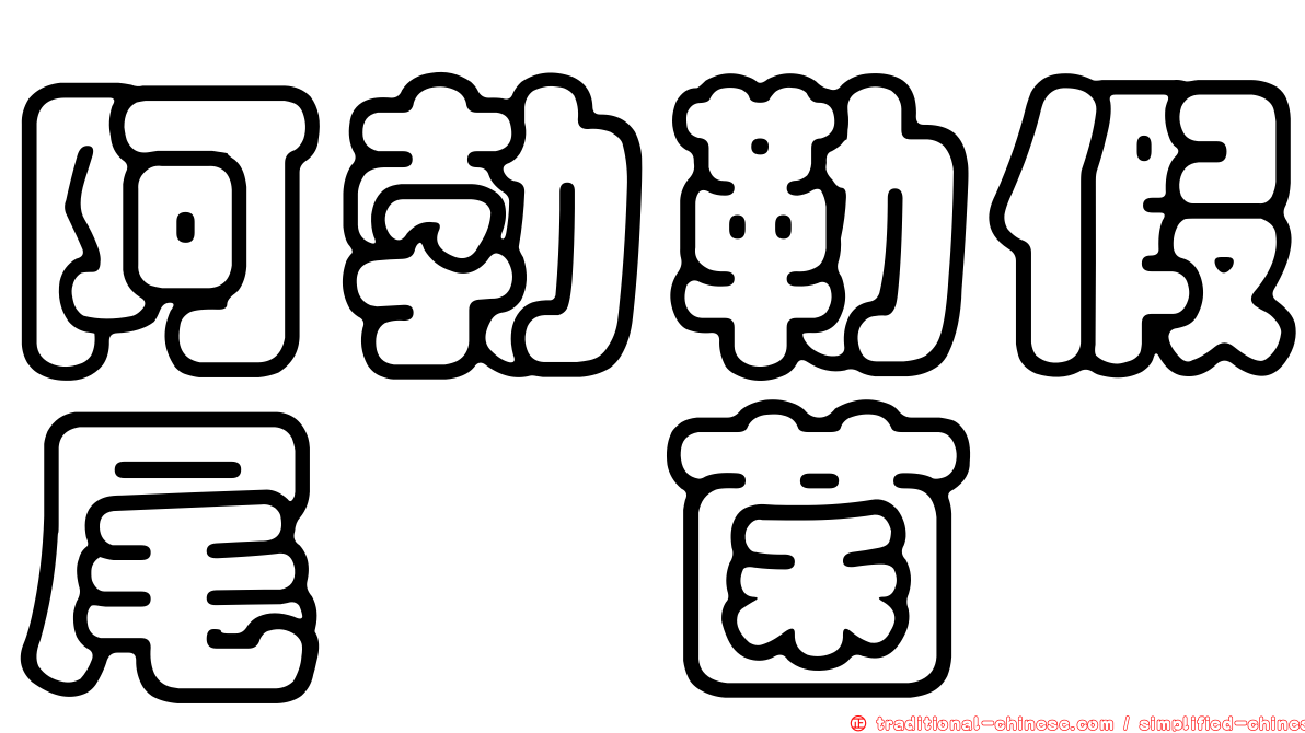 阿勃勒假尾孢菌