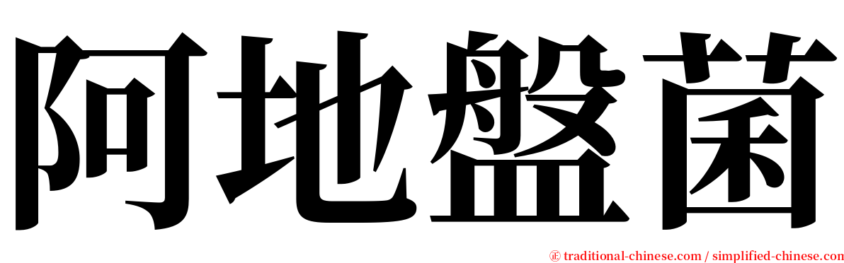 阿地盤菌 serif font
