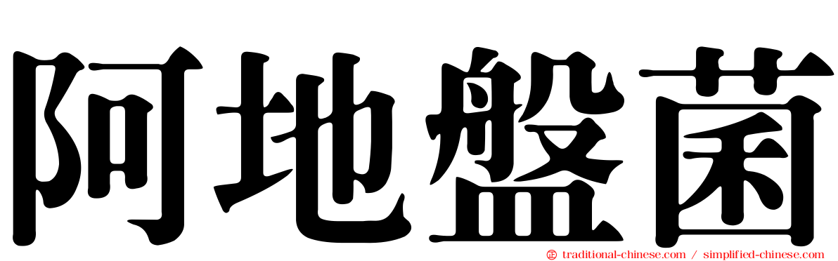 阿地盤菌