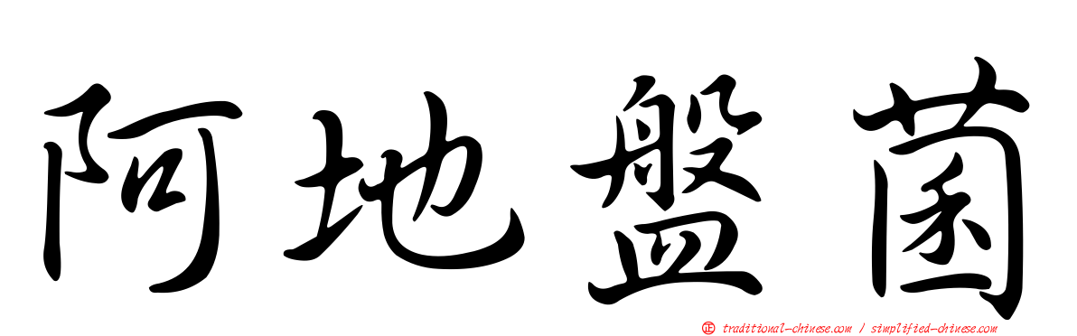 阿地盤菌