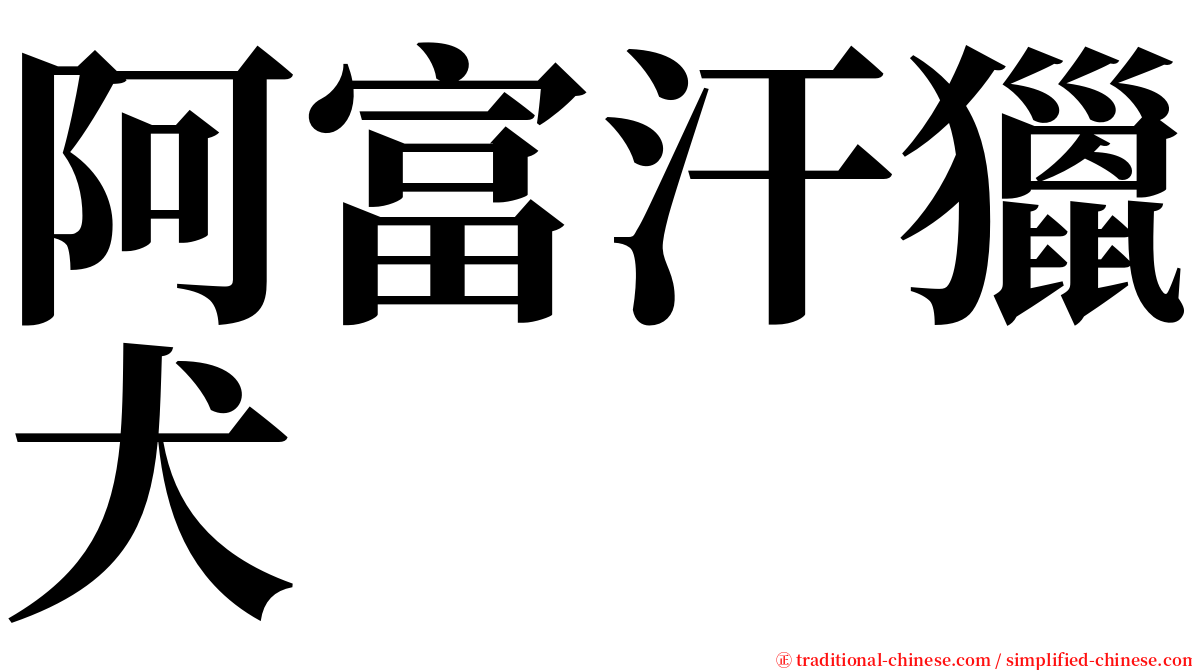阿富汗獵犬 serif font