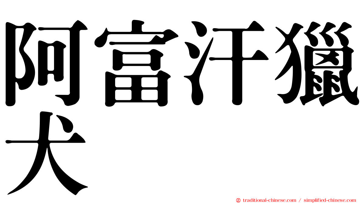 阿富汗獵犬