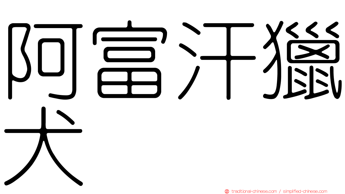 阿富汗獵犬