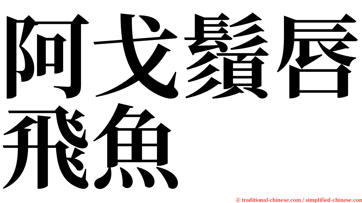 阿戈鬚唇飛魚 serif font