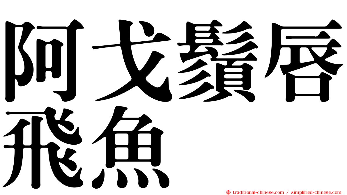 阿戈鬚唇飛魚
