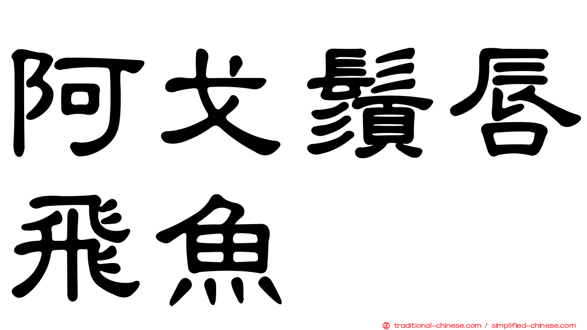阿戈鬚唇飛魚