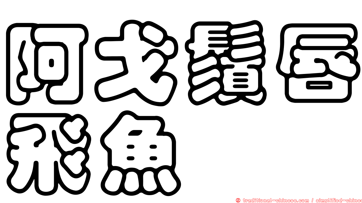 阿戈鬚唇飛魚
