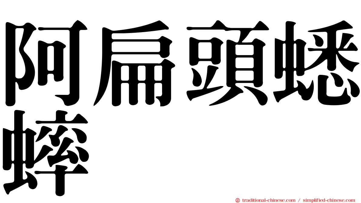 阿扁頭蟋蟀