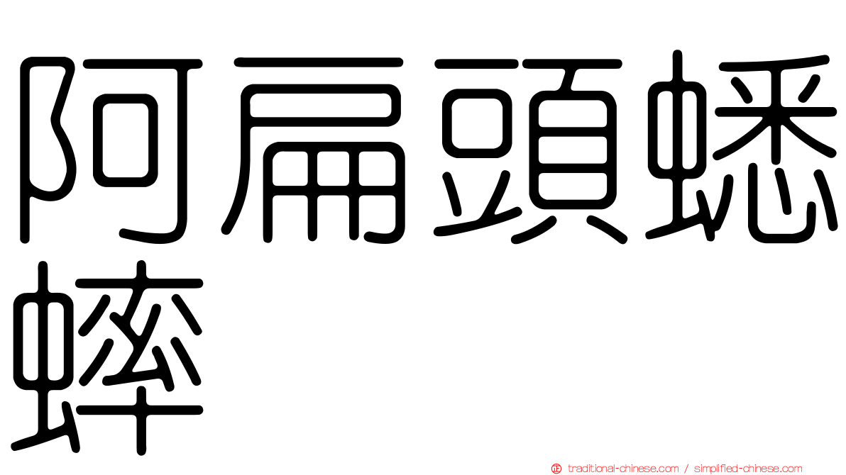 阿扁頭蟋蟀